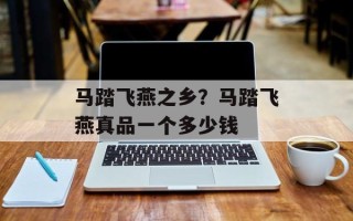 马踏飞燕之乡？马踏飞燕真品一个多少钱