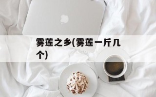 雾莲之乡(雾莲一斤几个)