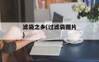滤袋之乡(过滤袋图片)