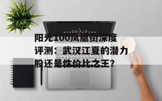 阳光100凤凰街深度评测：武汉江夏的潜力股还是性价比之王？