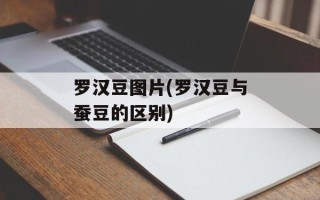 罗汉豆图片(罗汉豆与蚕豆的区别)