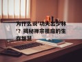为什么说'功夫出少林'？揭秘禅宗祖庭的生存智慧