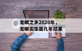 龙眼之乡2020年，龙眼实生苗几年结果