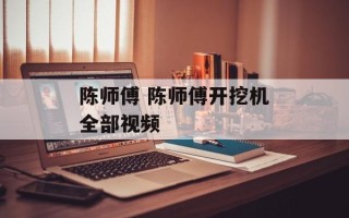 陈师傅 陈师傅开挖机全部视频