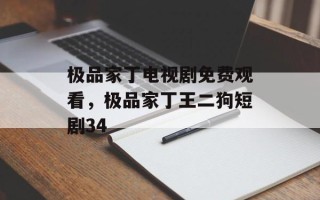 极品家丁电视剧免费观看，极品家丁王二狗短剧34