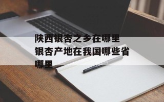陕西银杏之乡在哪里 银杏产地在我国哪些省哪里
