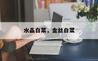 水晶白菜，金丝白菜