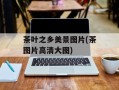 茶叶之乡美景图片(茶图片高清大图)