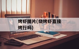 烤虾图片(烧烤虾直接烤行吗)