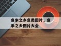 鱼米之乡鱼类图片，鱼米之乡图片大全