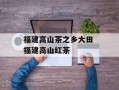 福建高山茶之乡大田 福建高山红茶