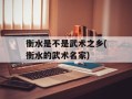 衡水是不是武术之乡(衡水的武术名家)