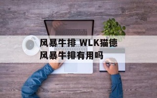 风暴牛排 WLK猫德风暴牛排有用吗