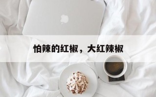 怕辣的红椒，大红辣椒