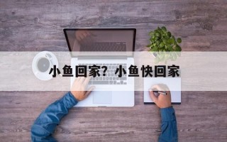 小鱼回家？小鱼快回家