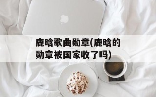 鹿晗歌曲勋章(鹿晗的勋章被国家收了吗)