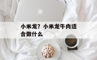小米龙？小米龙牛肉适合做什么