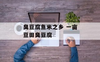 臭豆腐鱼米之乡 一亩豆田臭豆腐