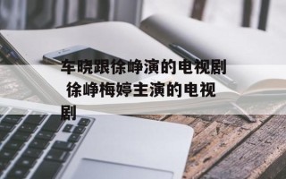 车晓跟徐峥演的电视剧 徐峥梅婷主演的电视剧