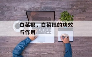 白菜根，白菜根的功效与作用