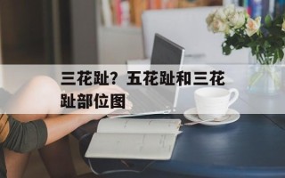 三花趾？五花趾和三花趾部位图