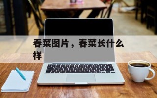 春菜图片，春菜长什么样