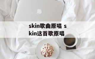 skin歌曲原唱 skin这首歌原唱