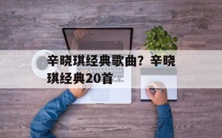 辛晓琪经典歌曲？辛晓琪经典20首