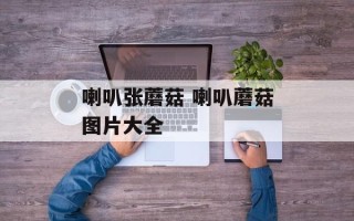 喇叭张蘑菇 喇叭蘑菇图片大全