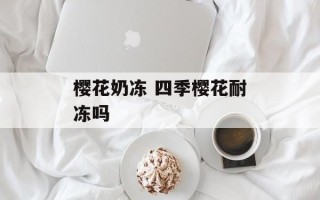 樱花奶冻 四季樱花耐冻吗