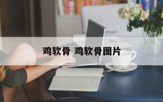 鸡软骨 鸡软骨图片