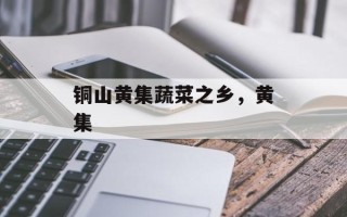 铜山黄集蔬菜之乡，黄集