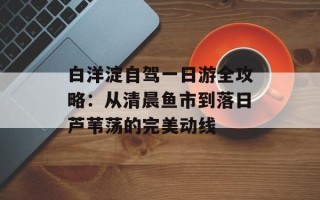 白洋淀自驾一日游全攻略：从清晨鱼市到落日芦苇荡的完美动线