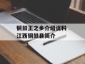 铜鼓王之乡介绍资料 江西铜鼓县简介