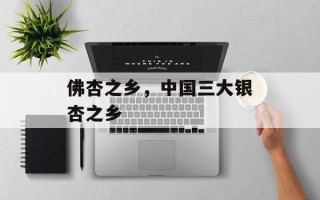 佛杏之乡，中国三大银杏之乡