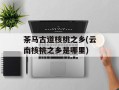 茶马古道核桃之乡(云南核桃之乡是哪里)