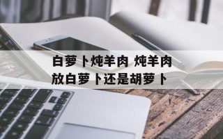 白萝卜炖羊肉 炖羊肉放白萝卜还是胡萝卜