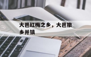大邑红梅之乡，大邑撤乡并镇