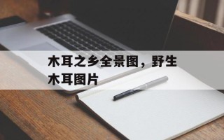 木耳之乡全景图，野生木耳图片