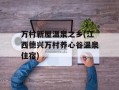 万村新屋温泉之乡(江西德兴万村养心谷温泉住宿)