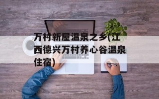 万村新屋温泉之乡(江西德兴万村养心谷温泉住宿)
