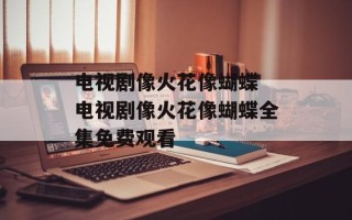 电视剧像火花像蝴蝶 电视剧像火花像蝴蝶全集免费观看