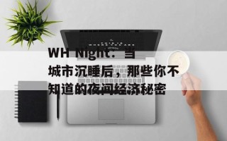 WH Night：当城市沉睡后，那些你不知道的夜间经济秘密