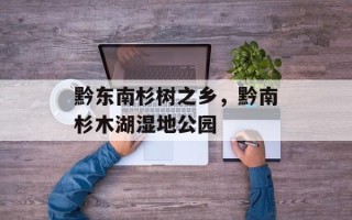 黔东南杉树之乡，黔南杉木湖湿地公园