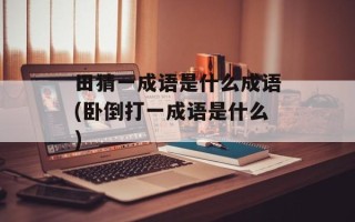 田猜一成语是什么成语(卧倒打一成语是什么)