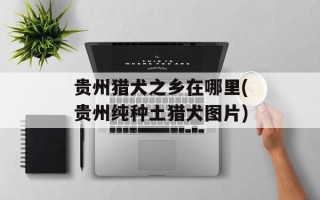 贵州猎犬之乡在哪里(贵州纯种土猎犬图片)
