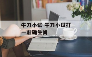 牛刀小试 牛刀小试打一准确生肖