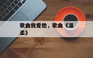 歌曲我爱他，歌曲《温柔》