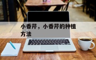 小香芹，小香芹的种植方法