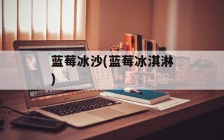 蓝莓冰沙(蓝莓冰淇淋)